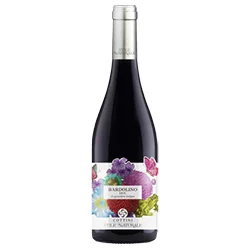 Bardolino DOC Stile Naturale 2022 Cottini