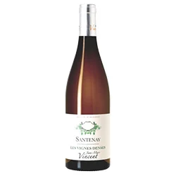 Santenay AOC Les Vignes Denses 2022 Jean-Marc Vincent