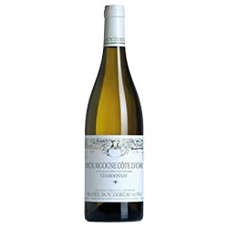 Bourgogne Côte d’Or AOC Chardonnay 2022 Michel Bouzereau et Fils