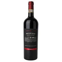 Montefalco Sagrantino DOCG 2020 Briziarelli