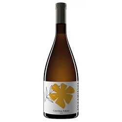 Terre d'Abruzzo IGP Pecorino 2024 Cantina Tollo