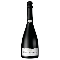 Alta Langa DOCG Brut 2017 Gancia