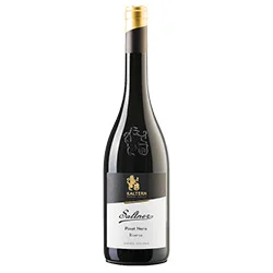 Südtirol - Alto Adige Pinot Nero Riserva DOC Saltner 2022 Cantina Caldaro