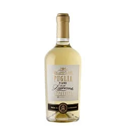 Puglia IGT Fiano da Uve Leggermente Appassite 2024 Duca di Saragnano