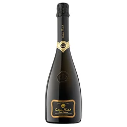 Vino Espumoso Blanc de Blancs Brut Nature 2022 Can Rich