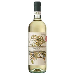Toscana Bianco IGT Dogajolo 2024 Carpineto