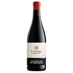 Rioja DOCa Viñedos de Salinillas de Buradón Lindes 2020 Remelluri