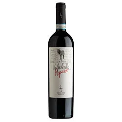 Valpolicella Ripasso DOC Classico Superiore 2019 Secondo Marco