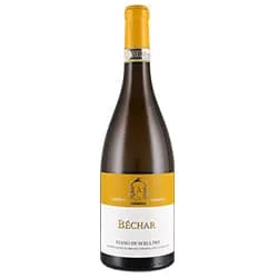 Fiano di Avellino DOCG Béchar 2024 Caggiano