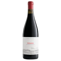 Cebreros DOP Pegaso Barrancos de Pizarra 2022 Telmo Rodríguez