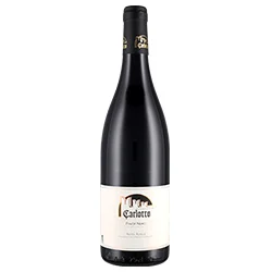 Südtirol - Alto Adige Pinot Nero DOC Filari di Mazzon 2022 Carlotto