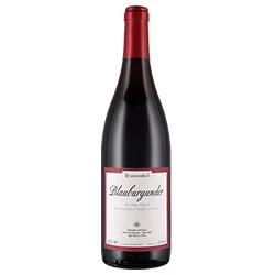 Südtirol - Alto Adige DOC Blauburgunder 2023 Brunnenhof