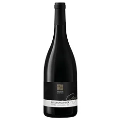 Südtirol - Alto Adige DOC Blauburgunder Graf 2023 Kellerei Meran Burggräfler