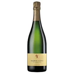 Alta Langa DOCG Riserva Extra Brut 2020 Coppo