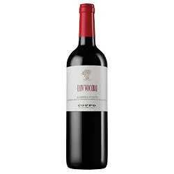 Barbera d'Asti DOCG L'Avvocata 2024 Coppo