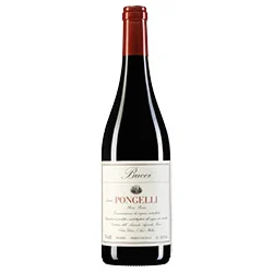 Rosso Piceno DOC Tenuta Pongelli 2022 Villa Bucci
