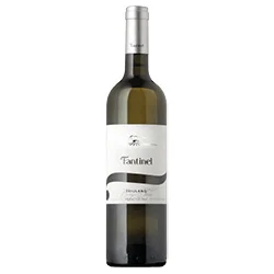 Friuli Grave DOC Borgo Tesis Friulano 2024 Fantinel