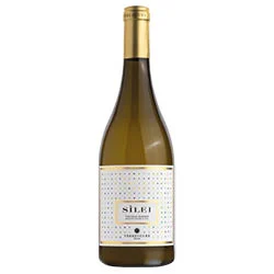 Toscana IGT Bianco SìLei 2024 Terrescure