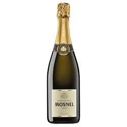 Franciacorta DOCG Brut Satèn Millesimato 2021 Mosnel