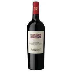 Irpinia DOC Aglianico Corte di Giso 2019 Terredora