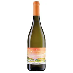 Marca Trevigiana Souvignier Gris IGT 2024 Soligo