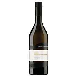 Collio Sauvignon DOC 2024 Borgo Conventi