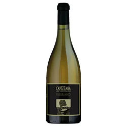 Toscana IGT Trebbiano 2024 Tenuta di Capezzana