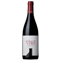 Südtirol - Alto Adige DOC Pinot Nero 2024 Colterenzio