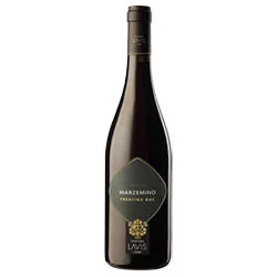 Trentino DOC Marzemino 2024 Cantina La-Vis
