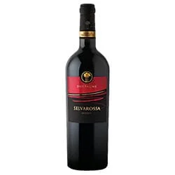 Salice Salentino DOP Riserva Selvarossa 2021 Due Palme