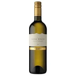 Südtirol - Alto Adige DOC Pinot Grigio 2025 Elena Walch