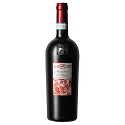Montepulciano d'Abruzzo DOP Premium 2023 Tenuta Ulisse