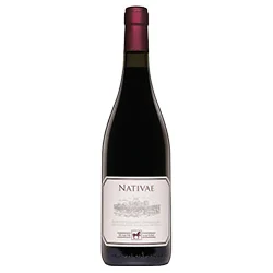 Montepulciano d'Abruzzo DOC Nativae 2020 Tenuta Ulisse
