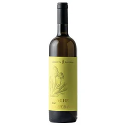 Langhe Rossese Bianco DOC 2023 Josetta Saffirio