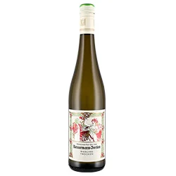 Pfalz QbA Riesling Trocken 2024 Dr. von Bassermann - Jordan