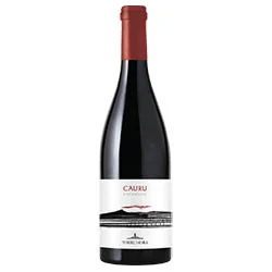 Etna Rosso DOC Cauru 2023 Torre Mora