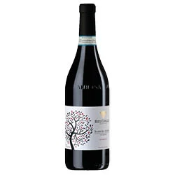 Barbera d'Alba Superiore DOC Le Masche 2023 Bel Colle