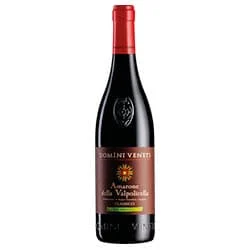 Amarone della Valpolicella Classico DOCG Biologico 2022 Domini Veneti