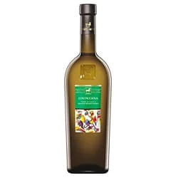 Terre di Chieti IGT Cococciola 2025 Tenuta Ulisse
