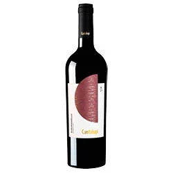 Salento IGP Susumaniello Cantalupi 2023 Conti Zecca