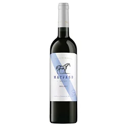 Mendoza IG Malbec Daily 2025 Marraso
