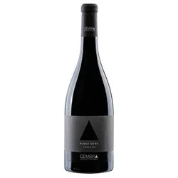 Trentino DOC Pinot Nero 2022 Cembra Cantina di Montagna