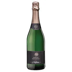 Trento DOC Brut Riserva Michei 823 2019 Hofstätter
