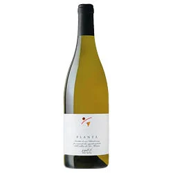 Venezia Giulia IGT Chardonnay Planta 2022 Tercic