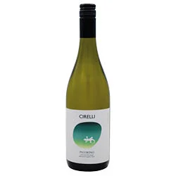 Colline Pescaresi IGT Pecorino 2024 Cirelli