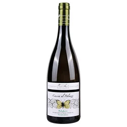 Bolgheri DOC Vermentino Caccia al Palazzo 2025 Tenuta di Vaira