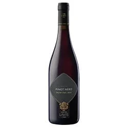 Trentino DOC Pinot Nero 2025 Cantina La-Vis