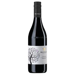Langhe DOC Nebbiolo 2025 Bel Colle