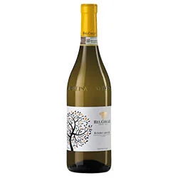 Roero Arneis DOCG 2025 Bel Colle