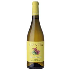 Sicilia Menfi DOC Grillo Terebinto 2025 Planeta